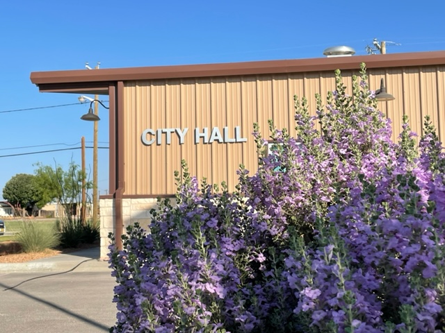 City Hall with Purple Sage Bush